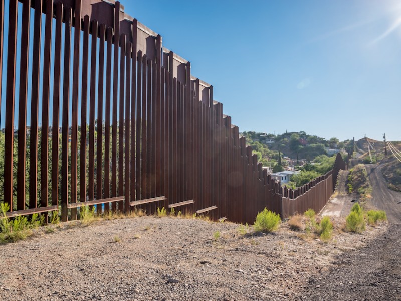 The U.S.-Mexico border wall may pose perils to pollinators
