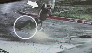 Stolen suitcase, GPS tracker, and weeks of waiting on police: inside a North Texas couple's search for answers