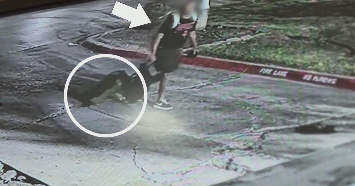 Stolen suitcase, GPS tracker, and weeks of waiting on police: inside a North Texas couple's search for answers