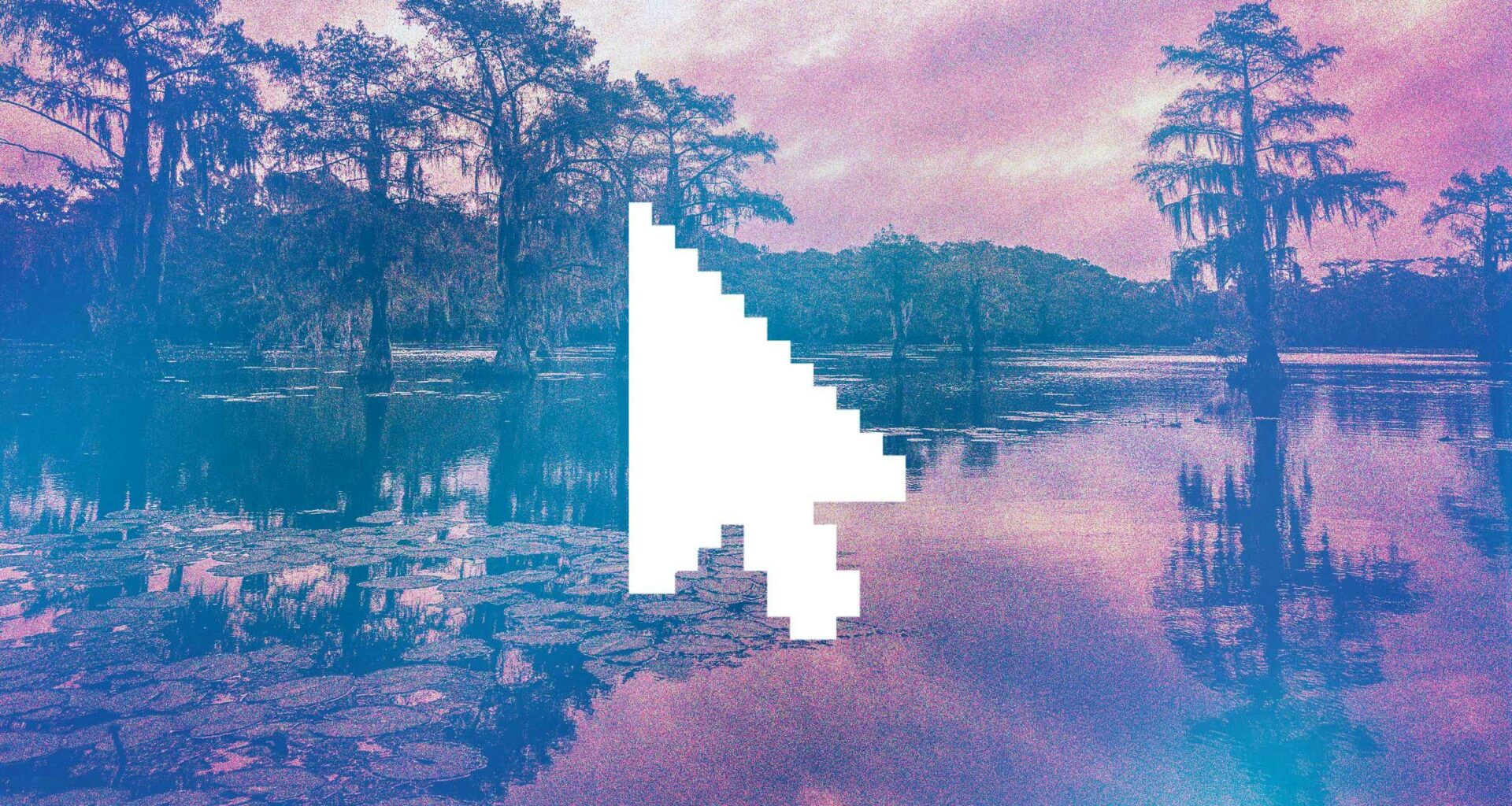 The Stories We Wish We’d Published This Year