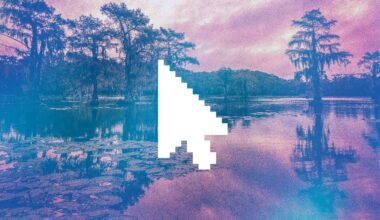 The Stories We Wish We’d Published This Year