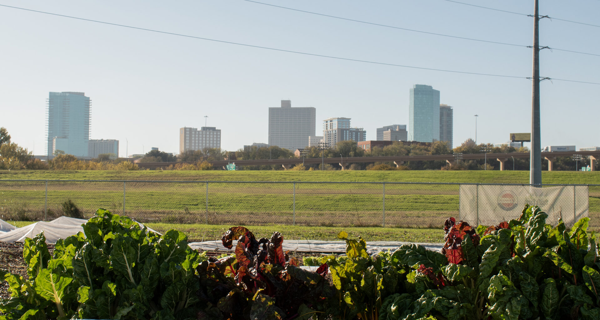 Tarleton State community farming program with roots in Fort Worth grows to other campuses