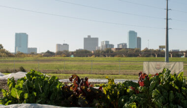 Tarleton State community farming program with roots in Fort Worth grows to other campuses