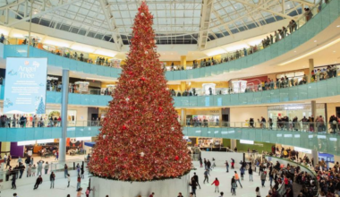 Why Galleria Dallas' Ice Rink Is Now One Of The Best in the Country - Local Profile