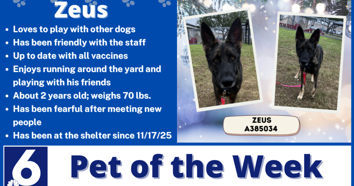 Pet of the Week: Zeus