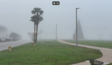 Foggy conditions call for safe driving habits