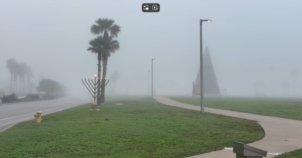 Foggy conditions call for safe driving habits