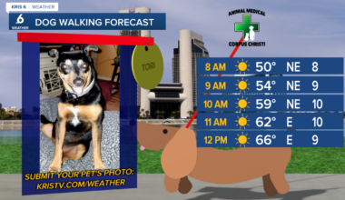 Fall ends on a warm note