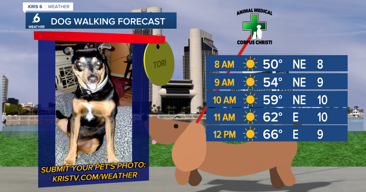 Fall ends on a warm note