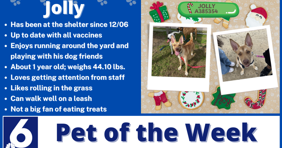 Pet of the Week: Jolly