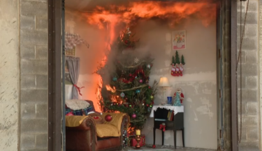 Don't let your Christmas tree spark a disaster