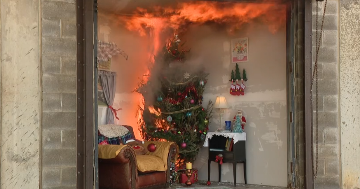 Don't let your Christmas tree spark a disaster