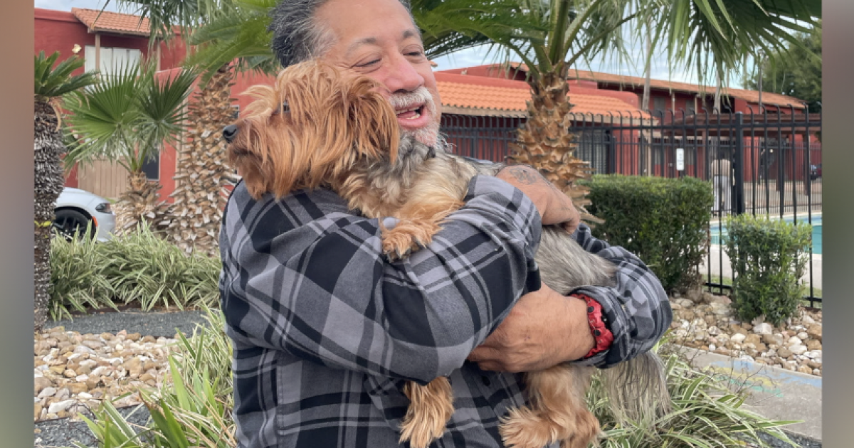 Stolen dog reunited with owner after days-long search in Corpus Christi
