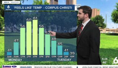 Sunny and cool this Monday before a mid-week warm up