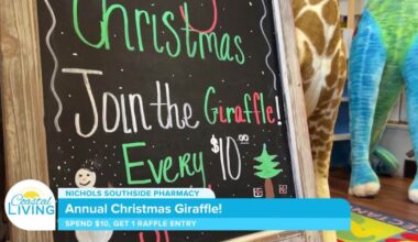 Christmas Giraffe at Nichols Southside Pharmacy