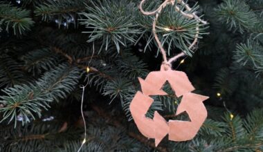 Corpus Christi urges residents to recycle right after the holidays