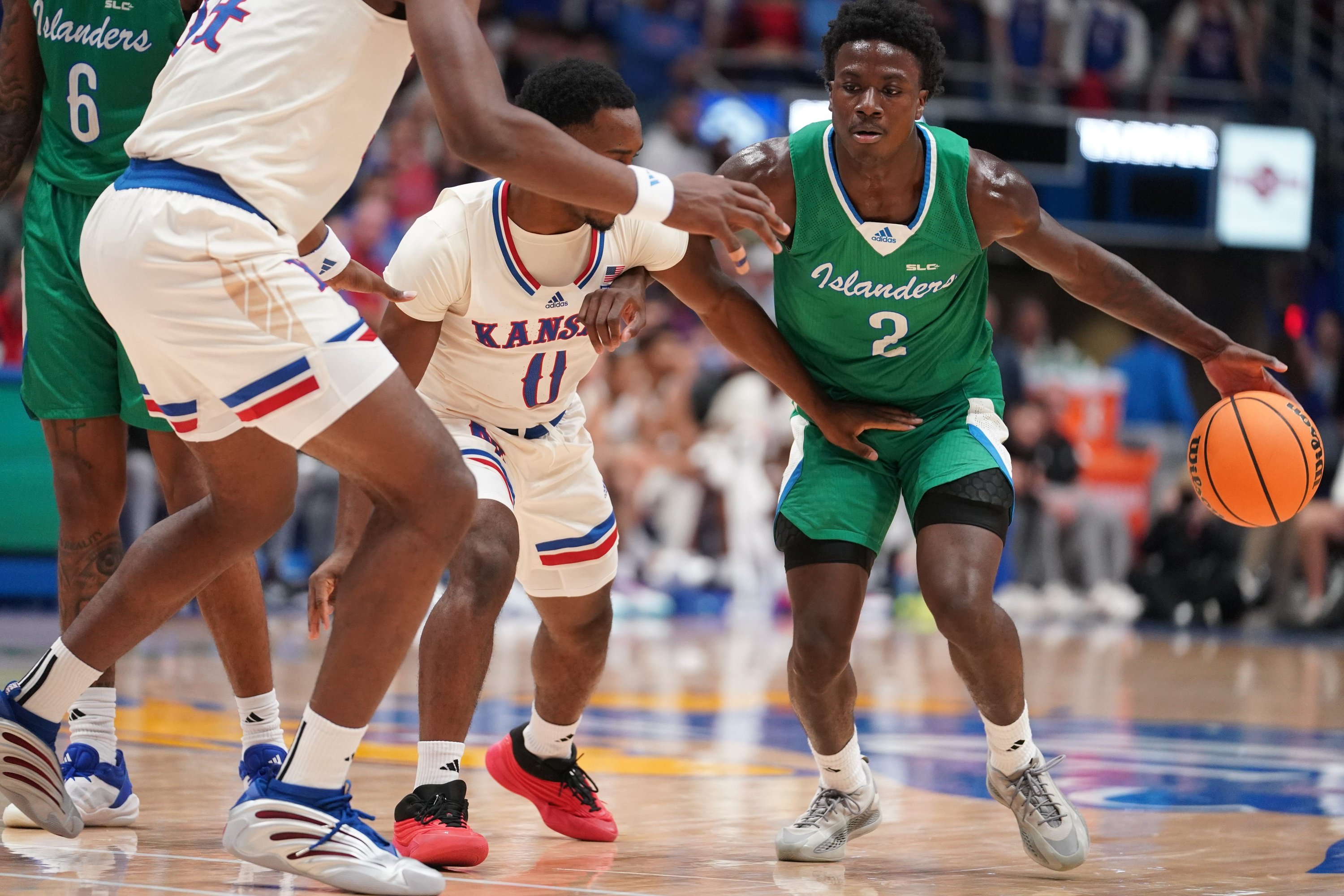 college basketball picks Leo Torbor Texas A M Corpus Christi Islanders predictions best bet odds