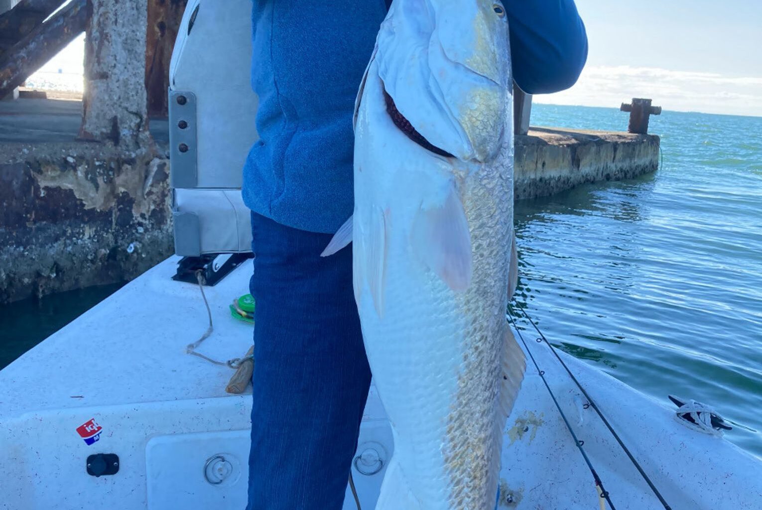 Catching a massive red fish in Corpus Christi Bay