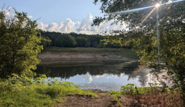 Yahoo lifestyle home