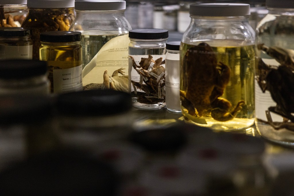 (Maria Crane | Fort Worth Report/CatchLight Local/Report for America)