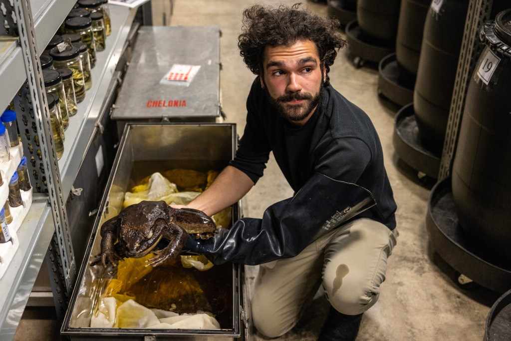 (Maria Crane | Fort Worth Report/CatchLight Local/Report for America)