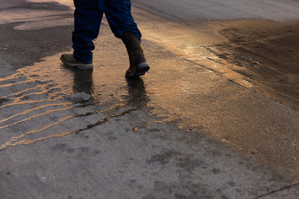 (Maria Crane | Fort Worth Report/CatchLight Local/Report for America)