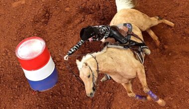 2025 NFR Barrel Racing Rookie Dominates Bracket 2 in Fort Worth, Texas