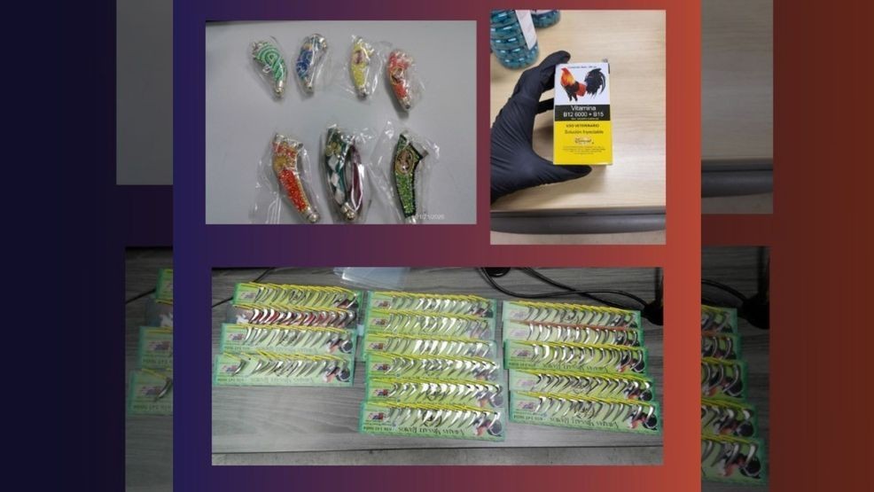 Cockfighting paraphernalia found being smuggled from Juarez into El Paso. Credit: EPPD{ }{p}{/p}