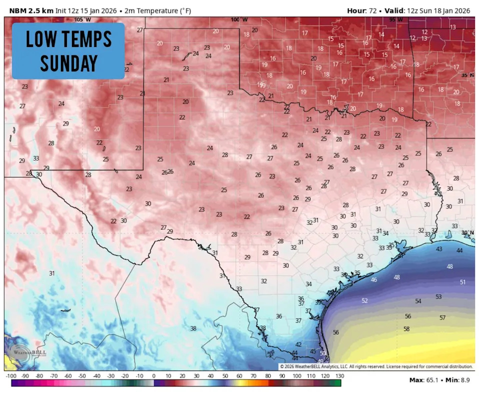 Shown are the potential low temperatures across Texas late Saturday and into early Sunday. Subfreezing lows are likely for most Texas cities. (WeatherBell)