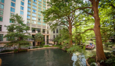 DC Getaway: 5 delicious places to dine in San Antonio, Texas