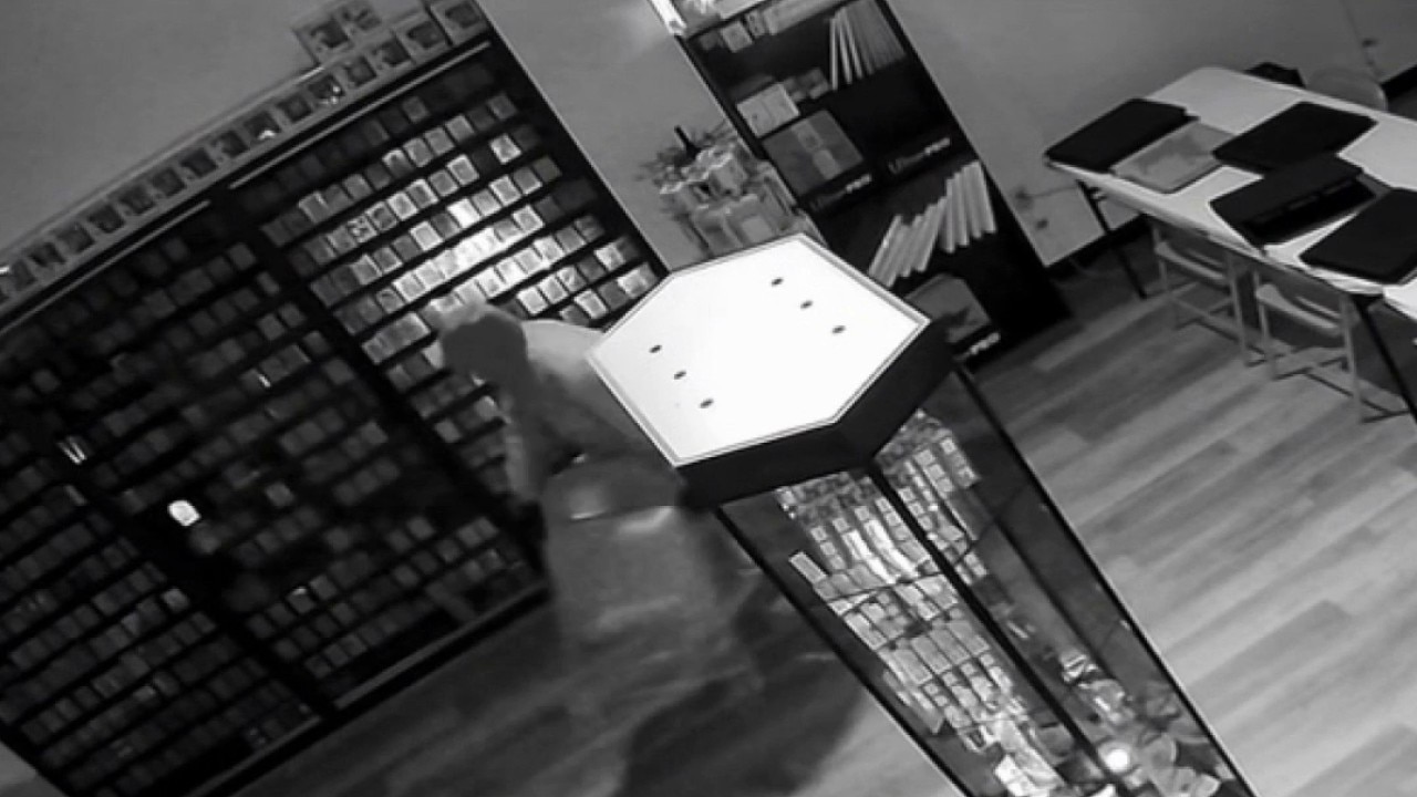 Four Houston-area collectible stores broken into