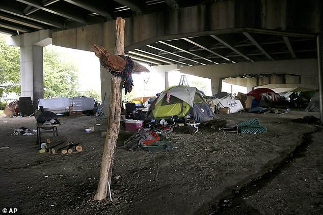 The city has around 3,700-large homeless population, some of whom has displayed 'frightening behavior' and built encampments and filled the city with the smell of marijuana