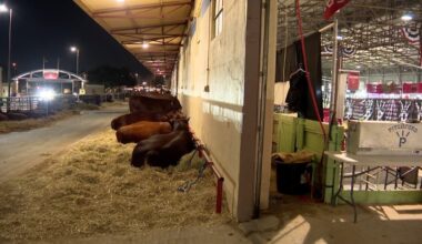 Fort Worth Stock Show and Rodeo prepares for winter weather – NBC 5 Dallas-Fort Worth