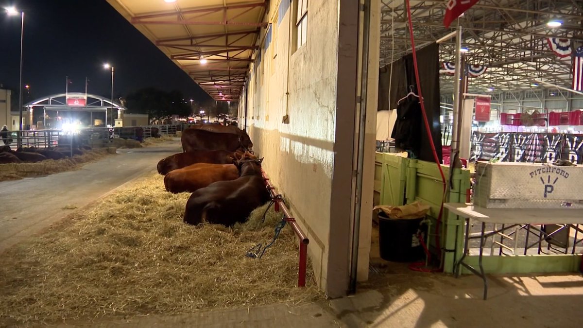Fort Worth Stock Show and Rodeo prepares for winter weather – NBC 5 Dallas-Fort Worth