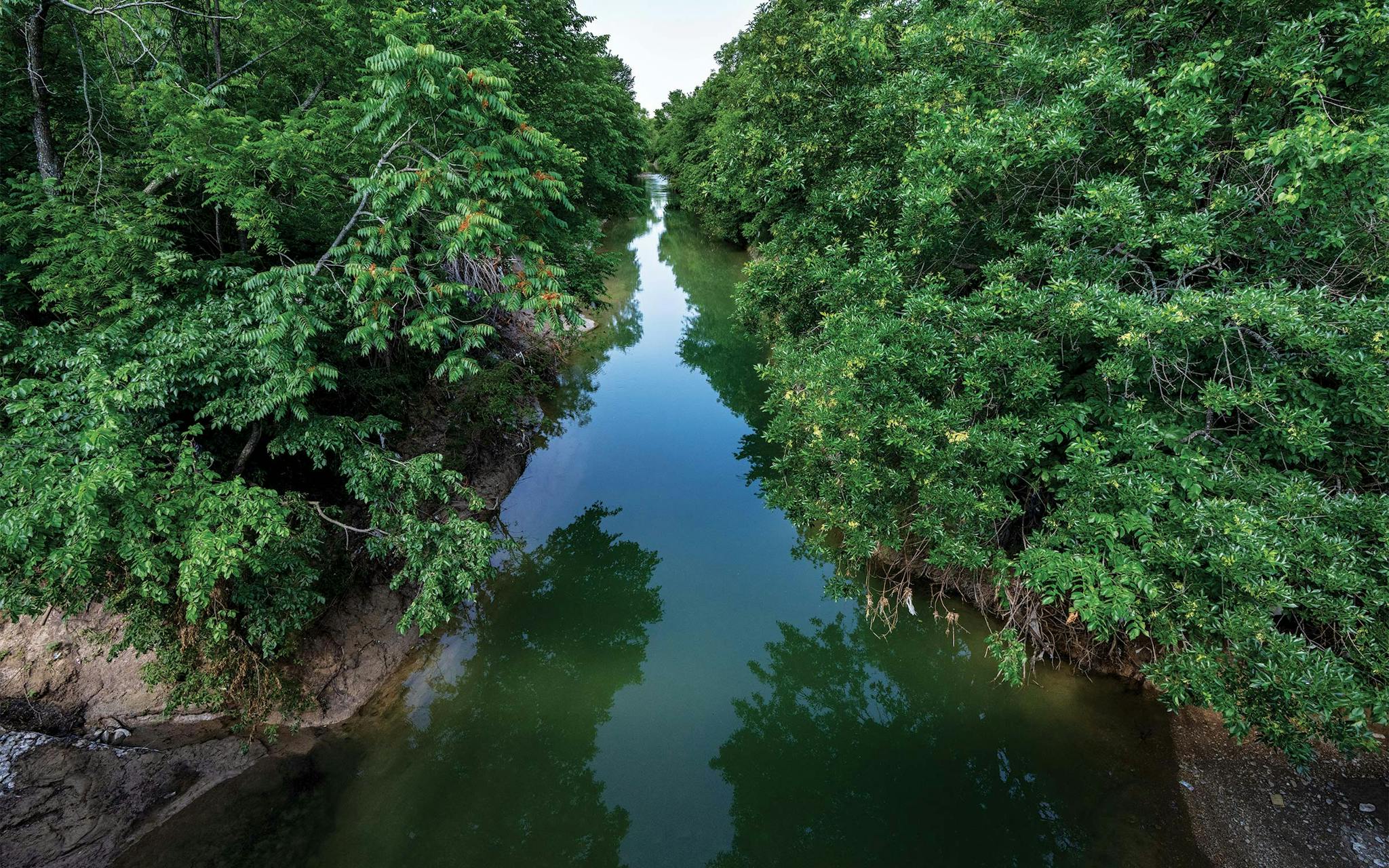 May 10 10:12 A.M. Five Mile Creek placidly flows beneath Bonnie View Road in South Dallas.