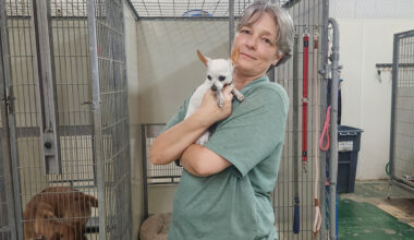 City balances growth, governance in busy year