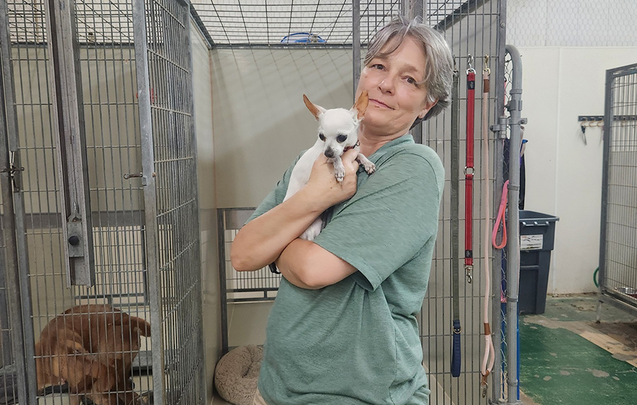 City balances growth, governance in busy year