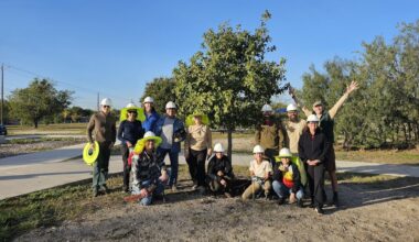 Free event this Sunday to show San Antonio residents how to be urban foresters