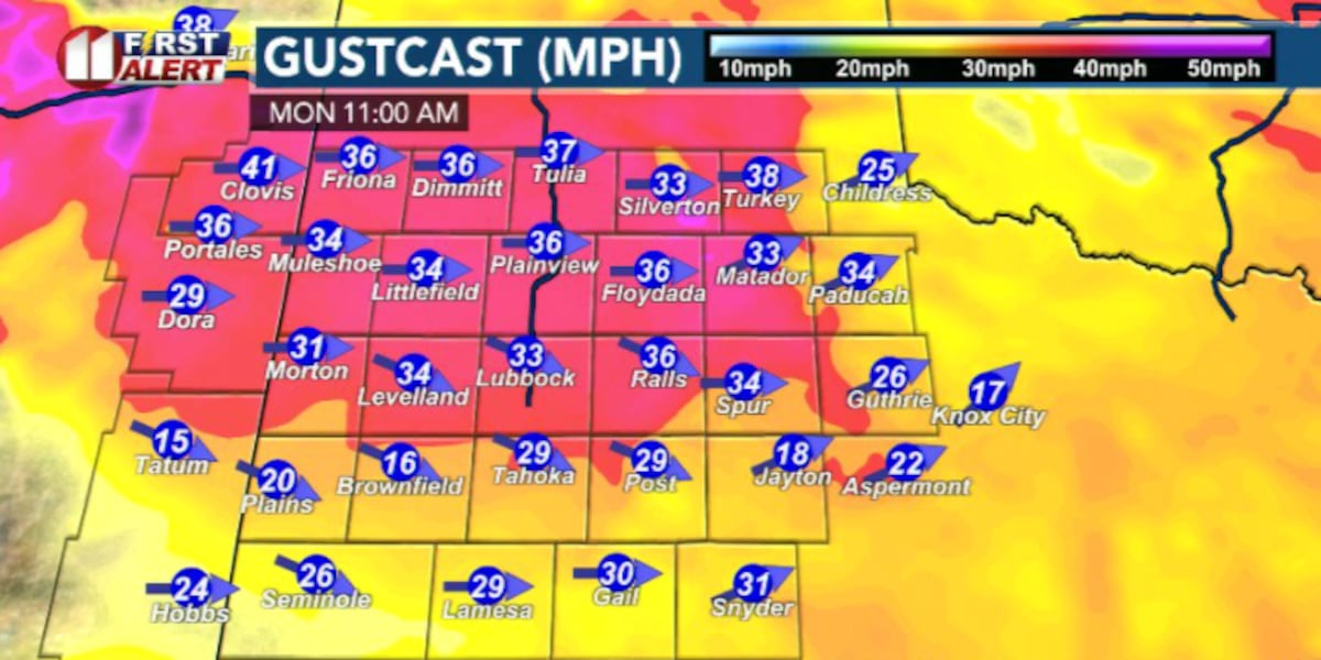 Warm, breezy start to the week; rain late Wednesday