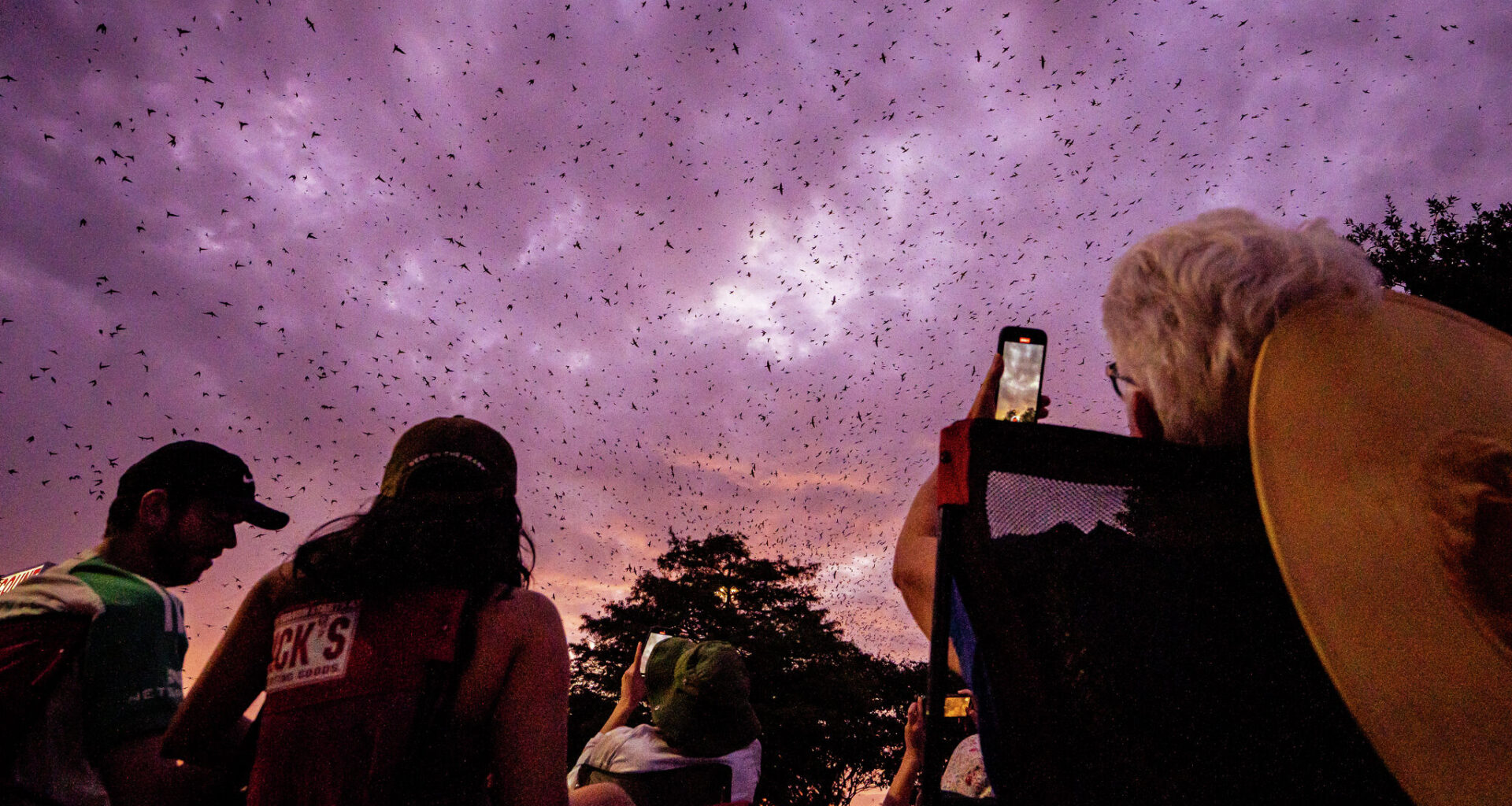 The Austin Skyline from the campus of the Texas School for the Deaf, Oct. 7, 2025.