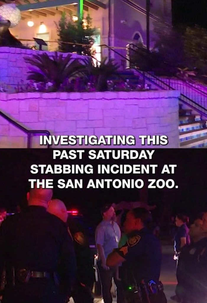 San Antonio Zoo visitors say they still feel safe after Saturday evening stabbing