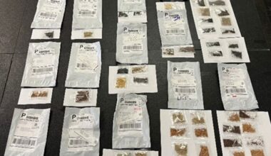 Mysterious seeds from China collected across Texas – NBC 5 Dallas-Fort Worth