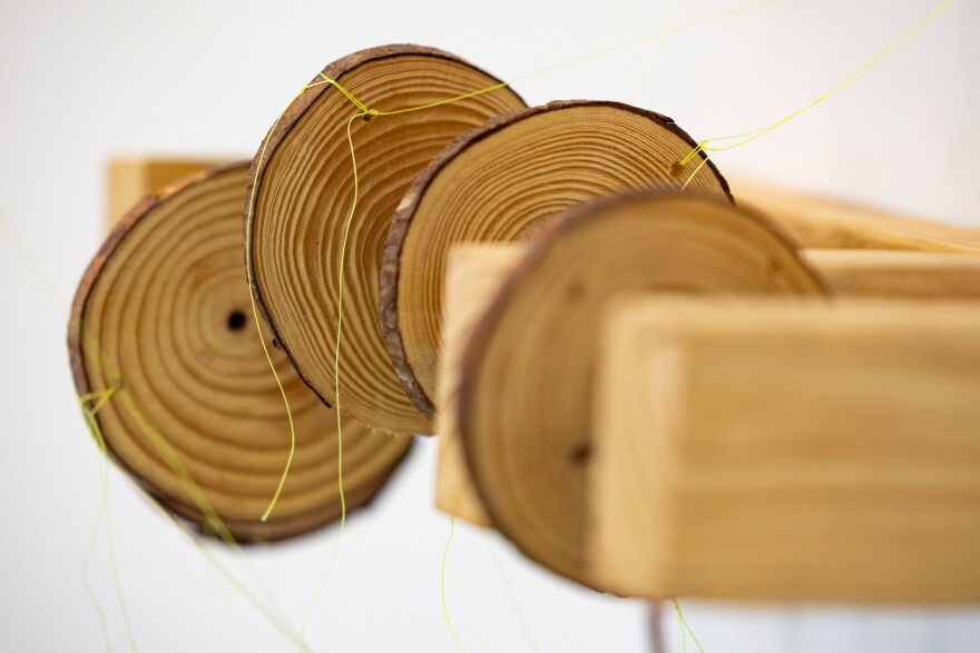 Sections of a tree, cut into disks, hangs from a wall with strings attached to each one. 