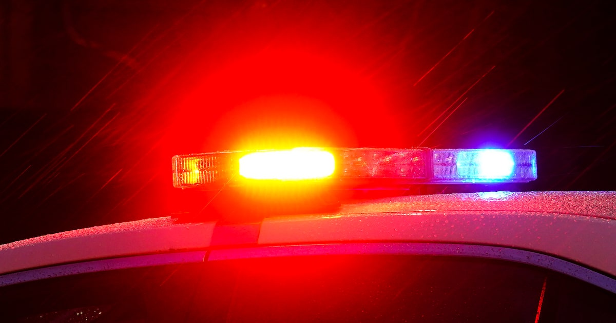 Arrest, raid follows reports of animal cruelty at East Texas dog ranch