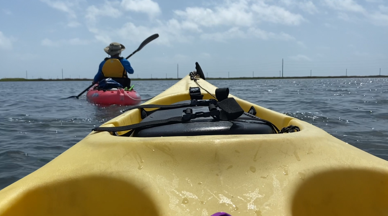 Kayak.png