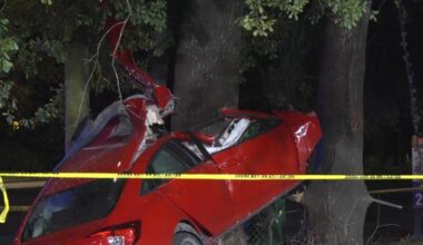 One killed after vehicle strikes tree in East Houston, police say