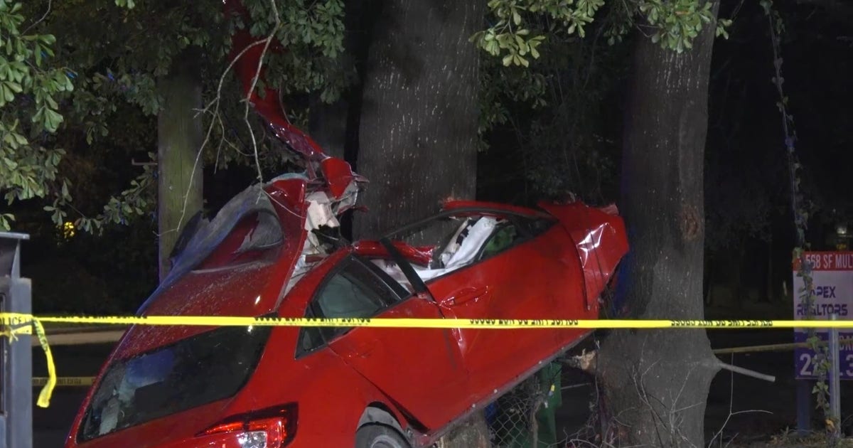 One killed after vehicle strikes tree in East Houston, police say