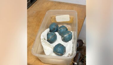 New owners find explosives in northeast Houston home, officials say