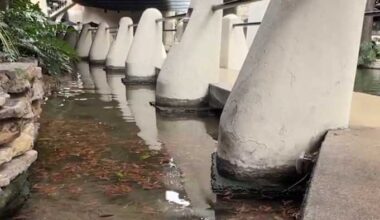 Officials begin draining of San Antonio River for maintenance