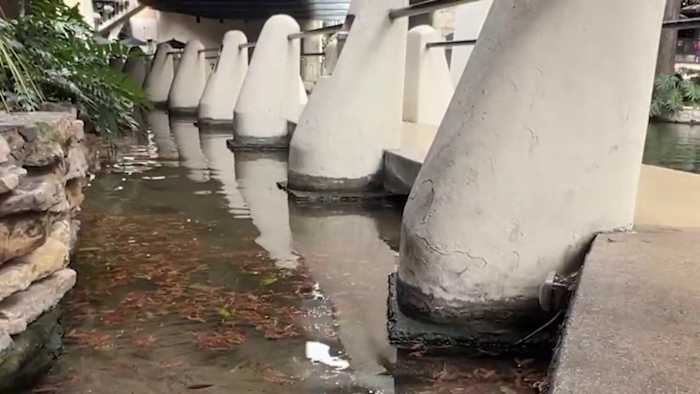 Officials begin draining of San Antonio River for maintenance